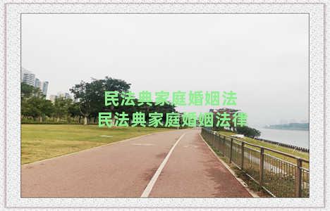 民法典家庭婚姻法 民法典家庭婚姻法律